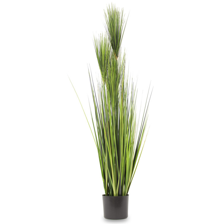 The Seasonal Aisle 125Cm Artificial Pampas Grass in Pot Wayfair.co.uk